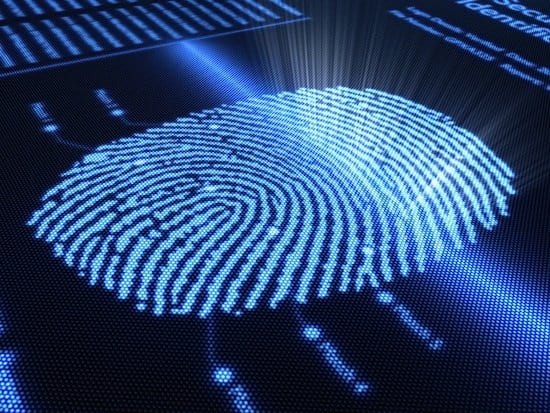 Biometric Systems